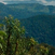 Rwanda - Forêt de Nyungwe